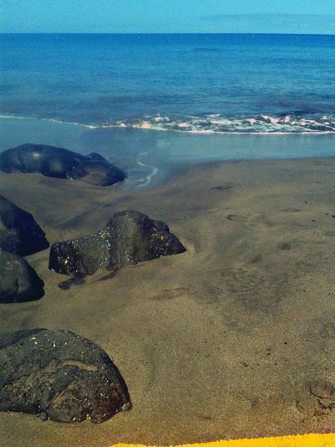 Apartamento A 1 Minuto De La Playa De Sardina Las Palmas / Gran Canaria Exterior foto